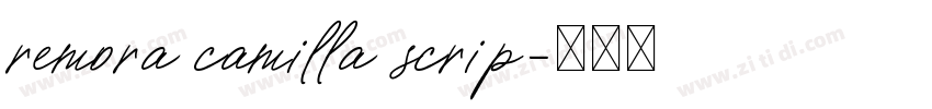 remora camilla scrip字体转换 remora camilla scrip字体转换
